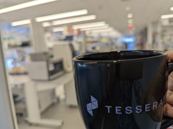 tesseract ocr引擎